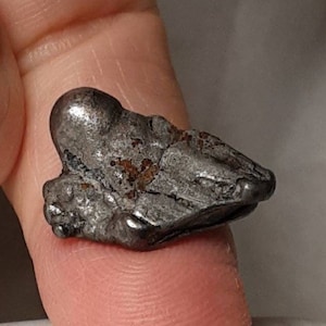 METEORITE (CAMPO del CIELO ) specimen