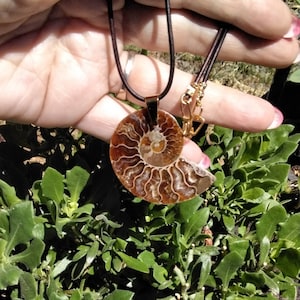 FOSSIL AMMONITE SLICE necklace