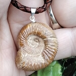 AMMONITE FOSSIL NECKLACE