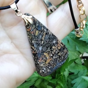 DINOSAUR BONE FOSSIL necklace