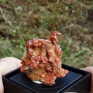 VANADINITE CRYSTALS on BARITE  thumbnail specimen
