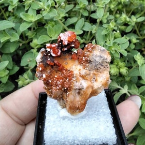VANADINITE ON BARITE specimen