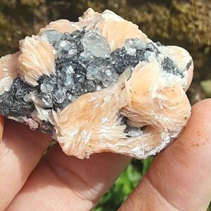 May include: A cluster of light pink selenite crystals with a dark gray and black mineral matrix. The selenite crystals are delicate and translucent, while the matrix is rough and opaque.