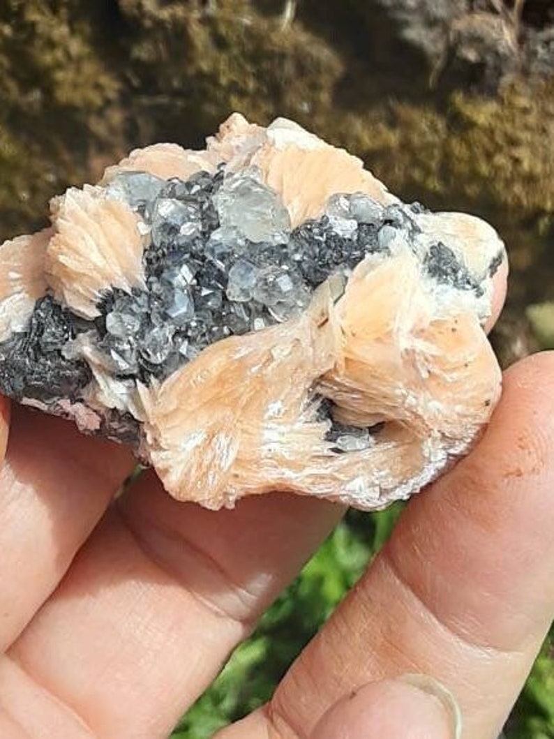 May include: A cluster of light pink selenite crystals with a dark gray and black mineral matrix. The selenite crystals are delicate and translucent, while the matrix is rough and opaque.