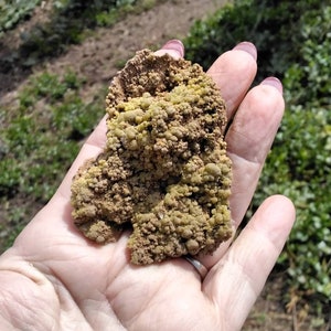 MIMETITE SPECIMEN