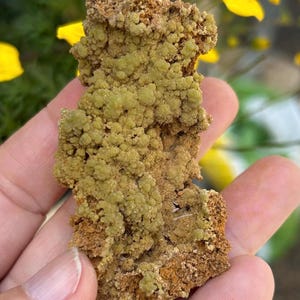 MIMETITE SPECIMEN