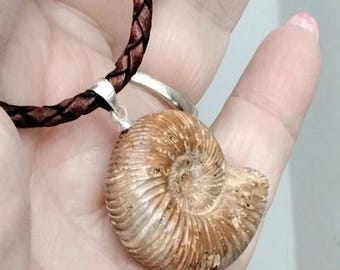 AMMONITE FOSSIL NECKLACE