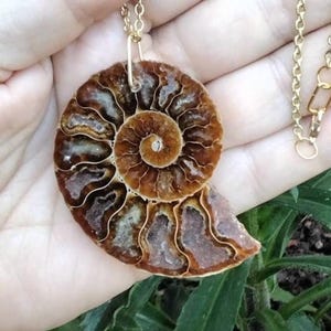 AMMONITE SLICE FOSSIL necklace