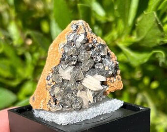 May include: A small, brown, rock-like specimen with a cluster of clear, glassy crystals and white, blade-shaped crystals. The specimen is displayed on a black square display stand.