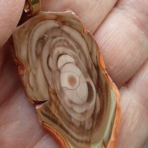 IMPERIAL JASPER FREEFORM hard collar necklace
