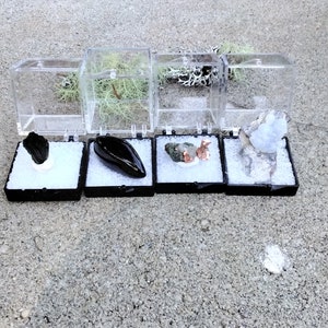 May include: Four small clear plastic display boxes with black bases, each containing a different mineral specimen. The specimens include a black crystal, a black and green crystal, a green and orange crystal, and a white crystal.