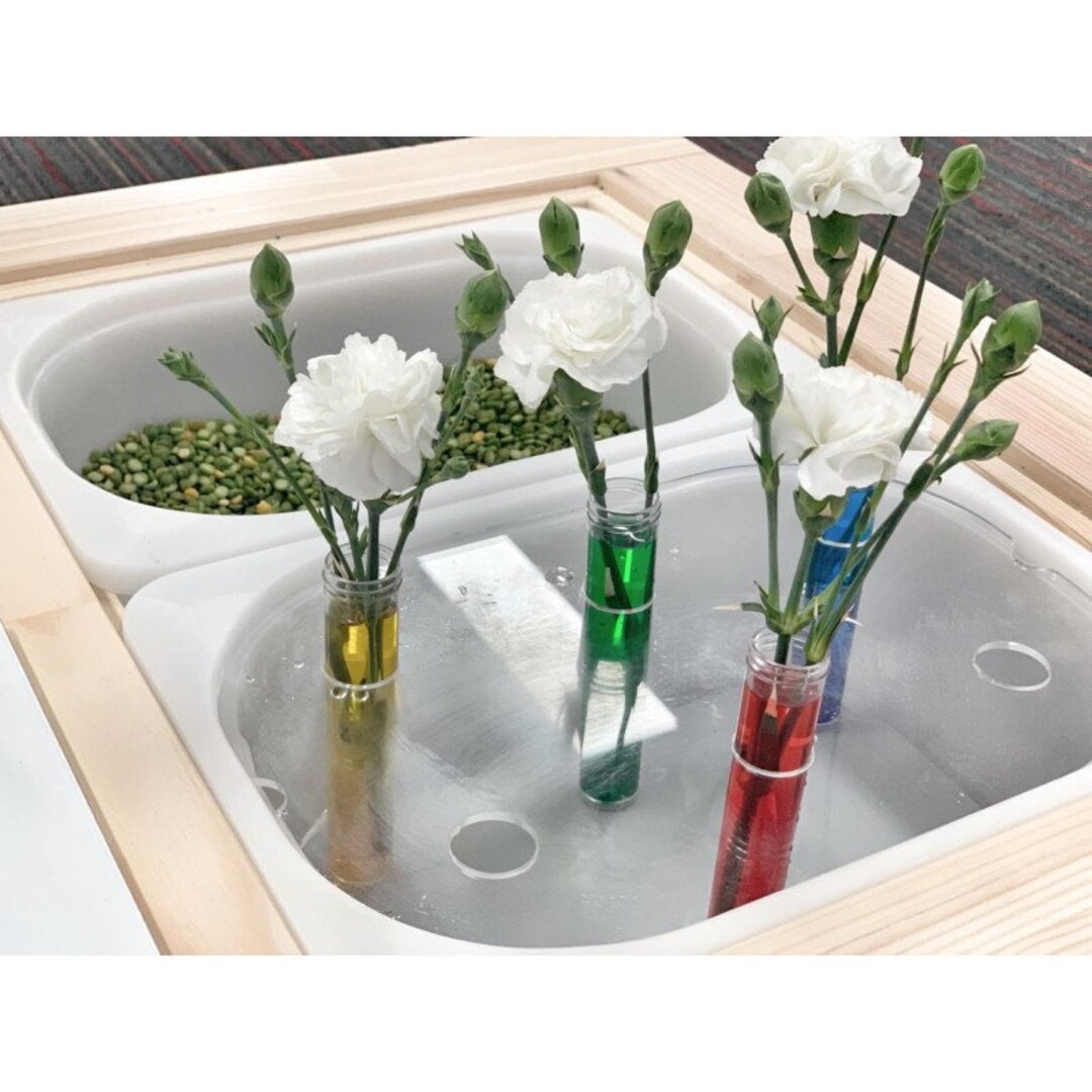 SMALL FLISAT/ TROFAST Test Tube Insert. Insert Tub or Table. Etsy