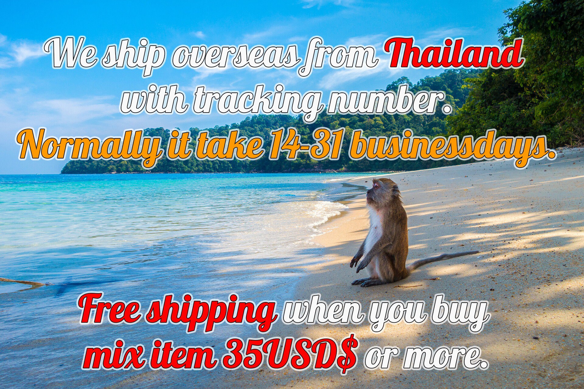 Master Diver Patch Scuba Diver Patch Skin Diver Patch With Etsy