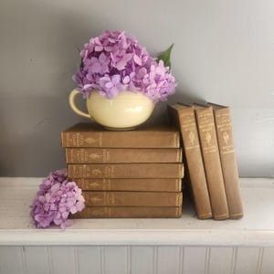 Set of Nine 1800&#39;s Books -The Works of James Whitcomb Riley -Poems Prose and Sketches Published by Scribners Between 1887-1889 -Gorgeous!