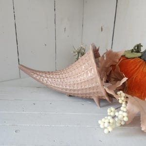May include: A peach-colored ceramic cornucopia with a textured surface, resting on three small feet. The horn is filled with dried leaves and a small orange pumpkin. A sprig of white berries and small white flowers are also present.