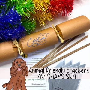 Kraft Brown Animal Friendly Crackers, Personalised Recyclable Eco Christmas Crackers, Eco Friendly Sustainable Cracker, DIY Cracker