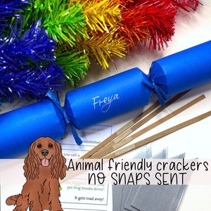 Blue Animal Friendly Crackers, Personalised Recyclable Eco Christmas Crackers, Eco Friendly Sustainable Cracker, DIY Cracker