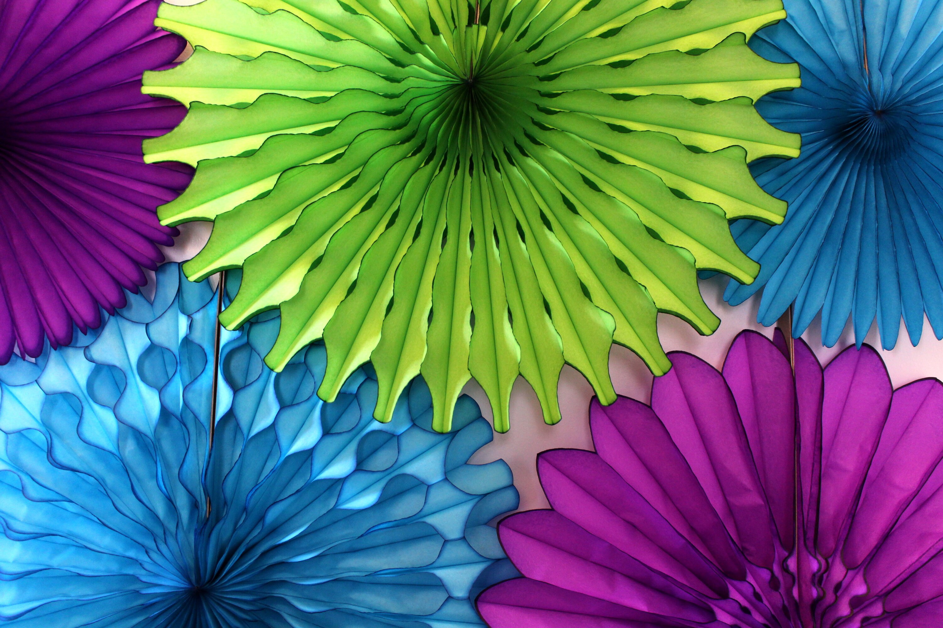 Peacock Themed Decorations / Peacock As An Inspiration For Cake Decoration 2539703 Weddbook : Little girls and big girls alike will.