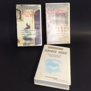 Natural Accents Art Instruction 3 VHS Set Stenciling Trompe l&#39;oil Murals Clouds
