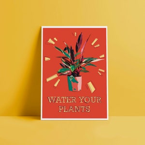 Water Your Plants ( Trio Star )