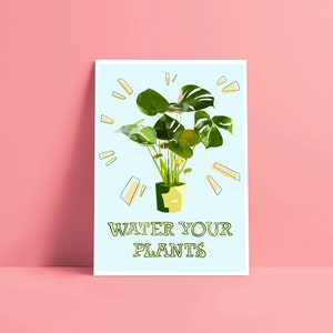 Water Your Plants ( Monstera )