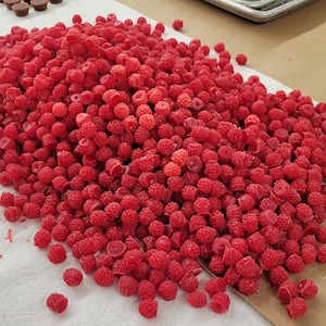 May include: A large pile of fresh, red raspberries on a white surface. The raspberries are piled high and are ready to be eaten.