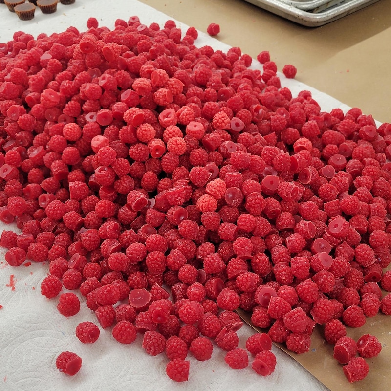 Raspberry Decor - Etsy