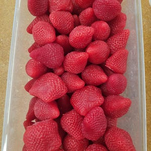 fruit embeds strawberry candle making supplies wax fake food scented
