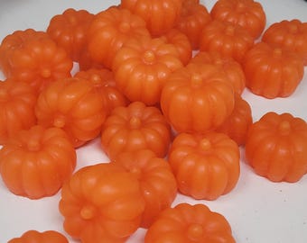 wax embeds pumpkins fall Halloween candle making supplies fake food movie props