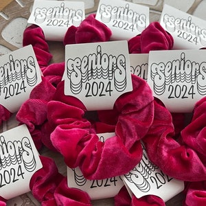Seniors 2024 Hair Scrunchies, 2024 Graduation Favor, 2024 Graduation Gift, Senior Gift, Class of 2024 Gift, Junior Gift