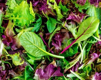 Mesclun Mix Gourmet Greens Seed Packet
