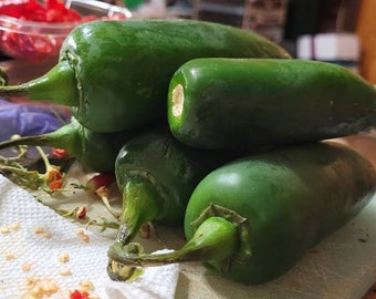 Jalepeno  "M" Pepper Seeds