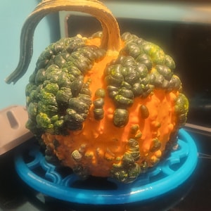 May include: A decorative gourd with a textured, bumpy surface. The gourd is primarily orange with patches of green and yellow. It has a curved stem and sits on a blue trivet.