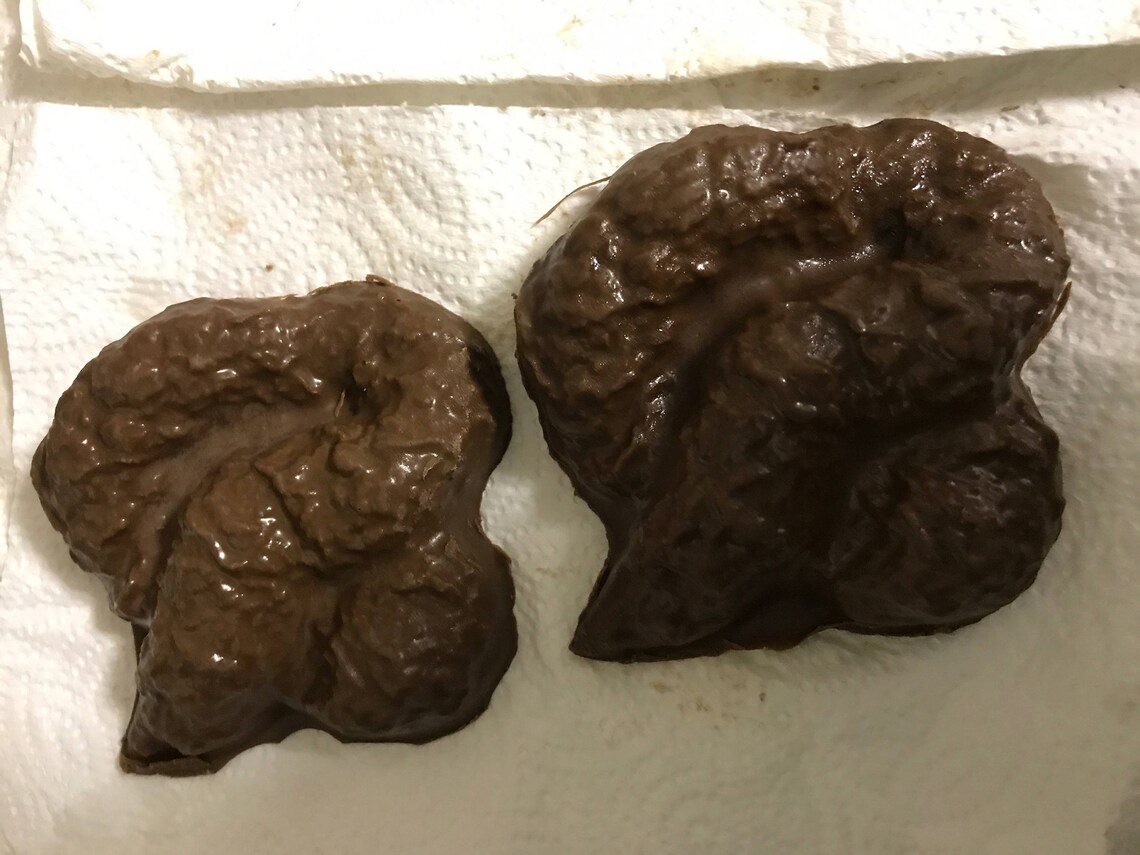 Poop Great gag gift 18.00 for 3 Etsy