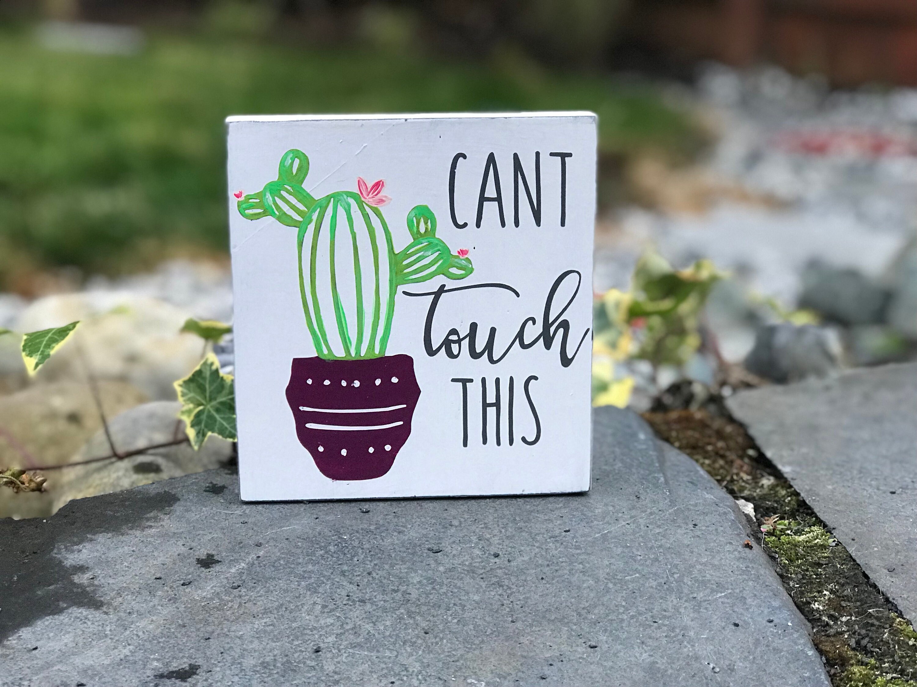 Cant touch this cactus sign cactus cactus decor cactus Etsy