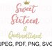 Download Quarantine Sweet 16 Birthday SVG | Etsy