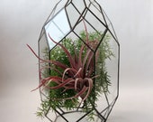 Geometric Decor. Stained Glass terrarium Container. Wedding Table Box. Orchid Geometric Terrarium. Terrarium Container. Glass Terrarium