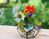 Dodecahedron Planter, Glass Geometric Terrarium Container, Handmade Glass Terrarium, Geometric Home Decor, Stained Glass Terrarium, Gifts