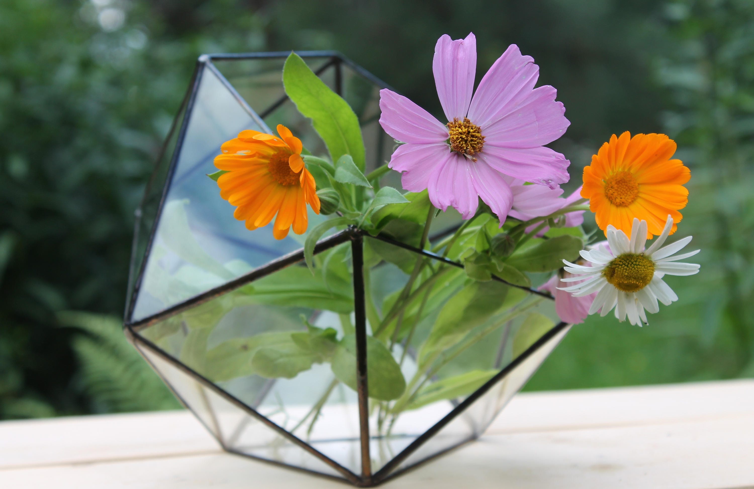 Terrarium Icosahedron. Geometric Glass Terrarium. Handmade Etsy