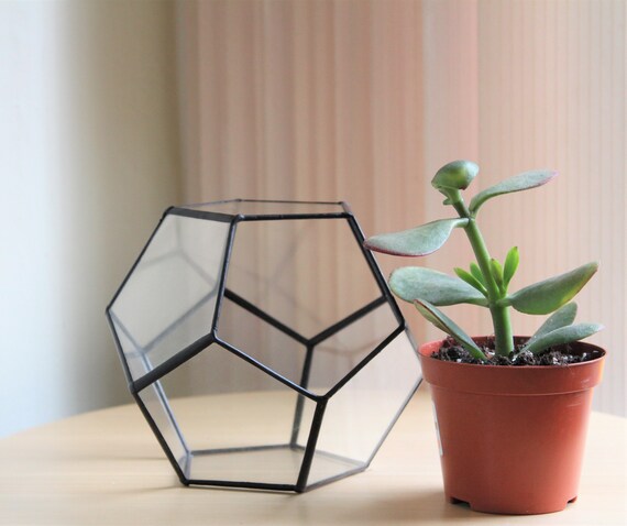 Dodecahedron Planter Glass Geometric Terrarium Container Etsy