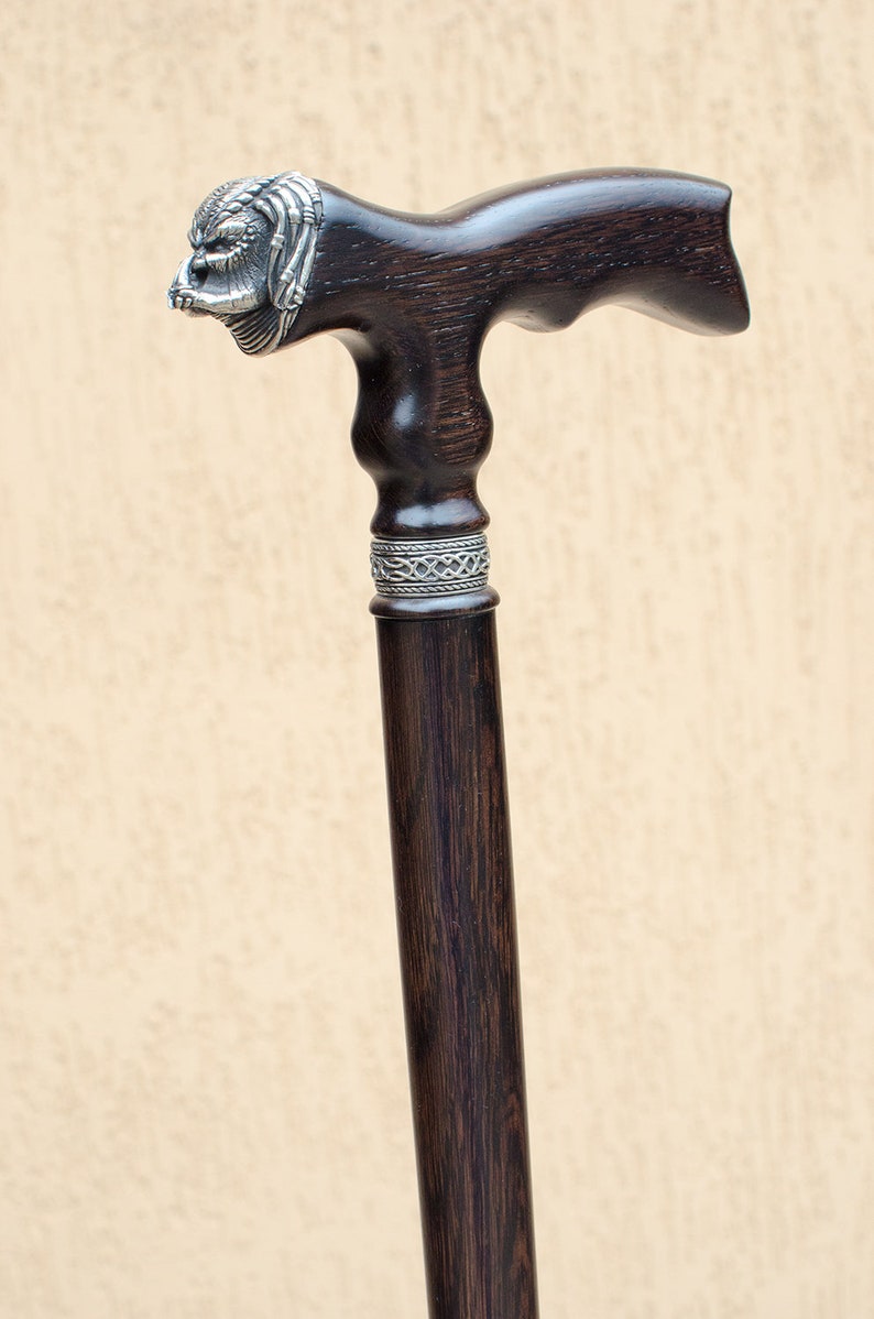 Fancy walking canes illinoisgawer