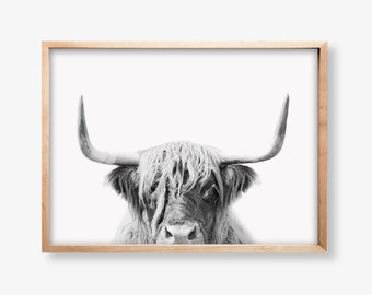 Highland Cow Print, Digital Download, Highland Cow Photography, Printable Wall Art, Cow Wall Art, Digital Print, Bull Photo, Cow Print