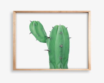 Cactus Wall Art,Cactus Print Digital Download,Printable Cacti,South Western Room Decor,Succulent Print,Large Wall Art,Desert Cactus Print