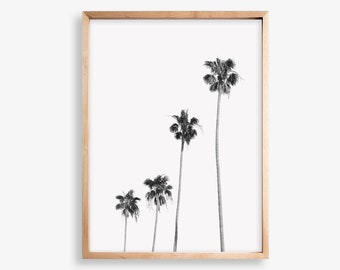 Black and White Print, Palm Tree Print, Prints Wall Art, Beach Print, Palm Print, Wall Art, Digital Download, Large Wall Art, Palm Tree Art