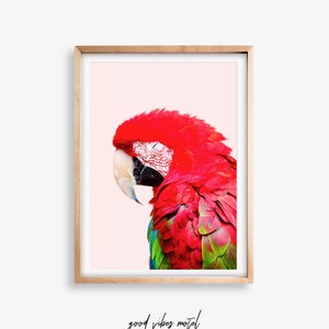 Parrot Print, Tropical Wall Art, Bird Print, Printable Art, Bird Poster, Home Decor, Digital Prints, Pink Wall Art, Art Prints, Australia