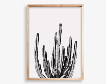 Cactus Print, Printable Art, Cactus Wall Art, Black and White Print, Desert Cactus, Boho Decor, Prints, Wall Art, Digital Prints, Poster