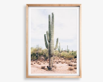 Desert Wall Art, Desert Photography, Cactus Wall Art, South Western Wall Art, Desert Digital Download, Cactus Art Print, Modern Cactus Print