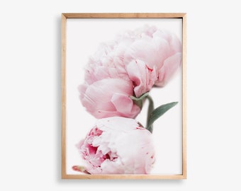 Peony Wall Art Flower Print Digital, Peony Print Pink Wall Art, Pink Peony Art Print, Botanical Print