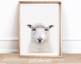 Sheep Print, Printable Sheep Art, Nursery Animal Print, Printable Farmhouse Sheep Large Poster, Sheep Wall Art, Digital Download, Art Prints