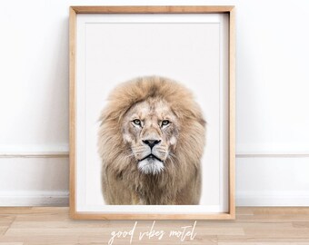 Lion Print. Lion Printable, Digital Download, Lion Wall Art, Nursery Decor, Animal Prints, Safari Nursery, Lion Photo, Lion Animal Print